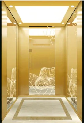 Fujixun Vvvf 観光パノラマ/展望ホーム ヴィラ リフト旅客エレベーター、住宅商業ビルおよびショッピング センター用機械室付き