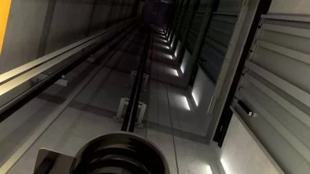 Dsk エレベーター 安全なカーエレベーター 貨物エレベーター 商品エレベーター 機械室付き 貨物エレベーター
